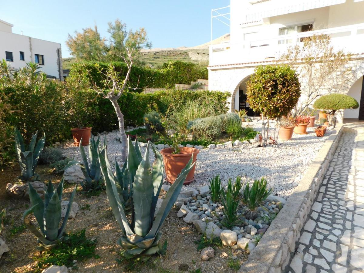 פג Apartmani Salus מראה חיצוני תמונה