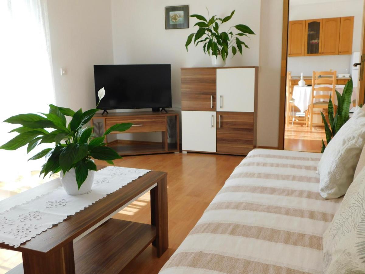פג Apartmani Salus מראה חיצוני תמונה