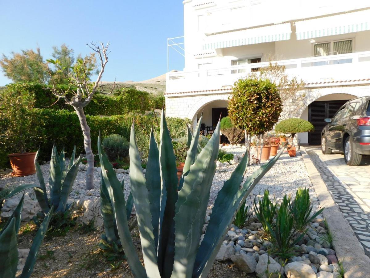 פג Apartmani Salus מראה חיצוני תמונה